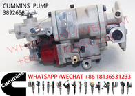3892658 NTA855 3095502 3895537 Diesel Engine Fuel Pump