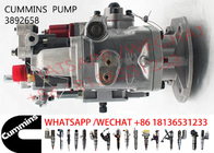 3892658 NTA855 3095502 3895537 Diesel Engine Fuel Pump