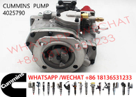 4025790 4022888 5311171 4061145 3096205 Diesel Engine Fuel Pump