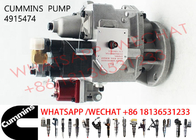 4915474 Cummins KTA19 Diesel Engine Fuel Pump 4915486 3655654 4009414 4060914