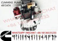 4915474 Cummins KTA19 Diesel Engine Fuel Pump 4915486 3655654 4009414 4060914