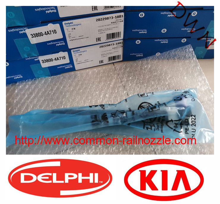    28229873-33800-4A710  Diesel Common Rail Fuel Injector Assy For Hyundai KIA 2.5 Engine