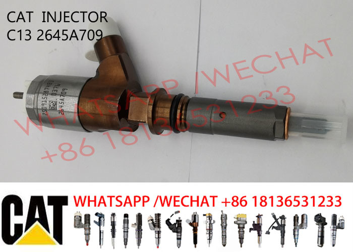 2645A709 Common Rail Injector 2645A731 2645A743 2768290 2820490 2897501 2939590