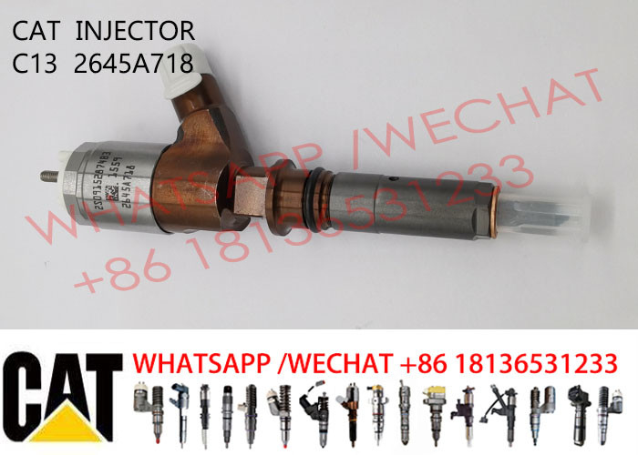 2645A718 Diesel Common Rail Injector 2645A747 2645A734 282-0480 2645A719 Truck Injection 2645A733 For CAT